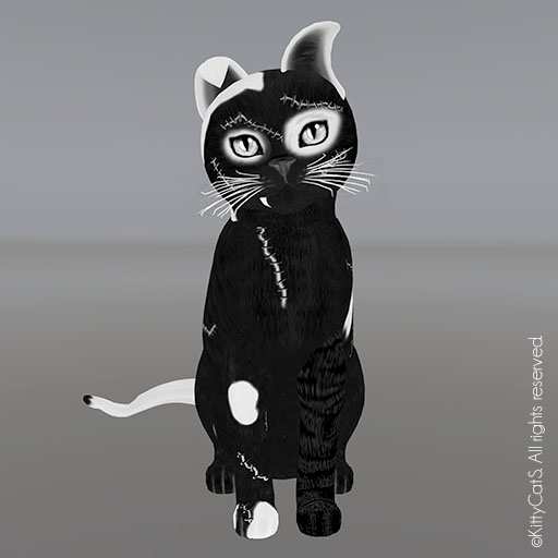 KittyCatS Box - Male - FrankenPire