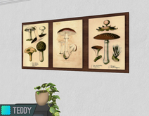[TT] Mycology Wall Art