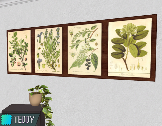 [TT] Botanical Wall Art