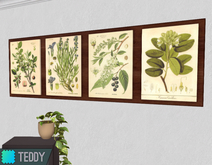 [TT] Botanical Wall Art