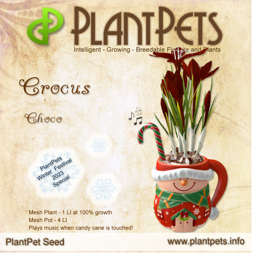 PlantPet Seed [Crocus *Choco*]