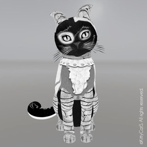 KittyCatS Box - Female - Abby Normal