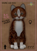 KittyCatS Box - MEGAPUSS - Genesis - Ginger II - ♀ Female