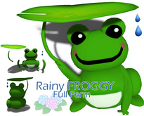 Rainy Frog
