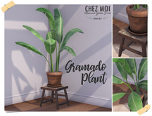 CHEZ MOI Gramado Plant