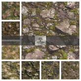 TB - SCOTTISH CASTLE TERRAIN