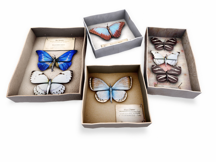 *ionic* Faux Butterfly collection