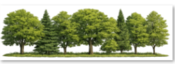 Assorted Green tree border texture