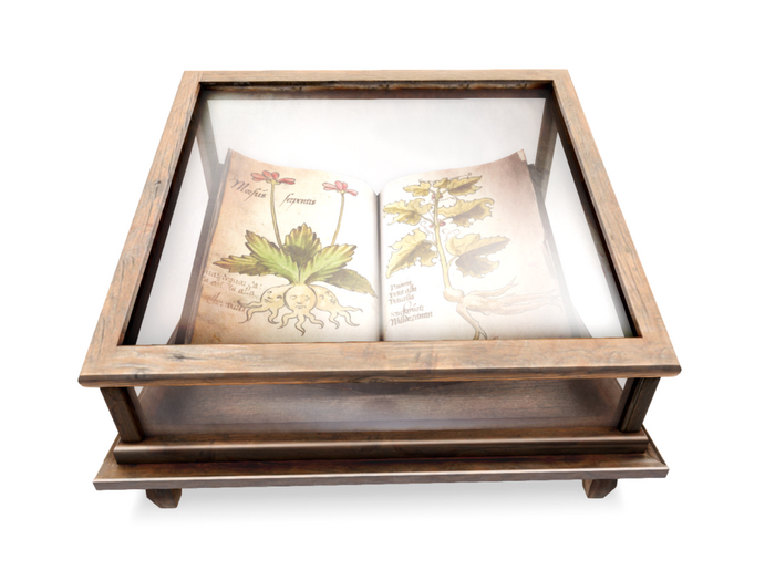 11 ionic : Ancient Book display [Mandrake]