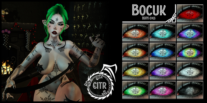 EITR - Bocuk - Demo