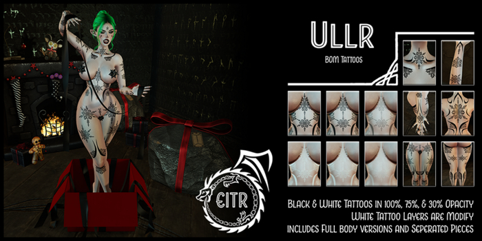 EITR - Ullr - Demo