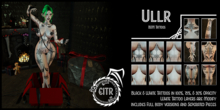 EITR - Ullr - Demo