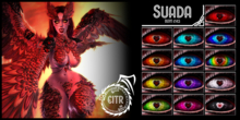 EITR - Suada - Demo