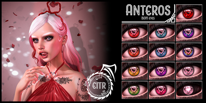 EITR - Anteros - Demo