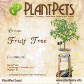 PlantPet Seed [Fruit Tree *Lemon*]