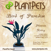 PlantPet Seed [Bird of Paradise *Phoenix Rising*] LIMITED EDITION