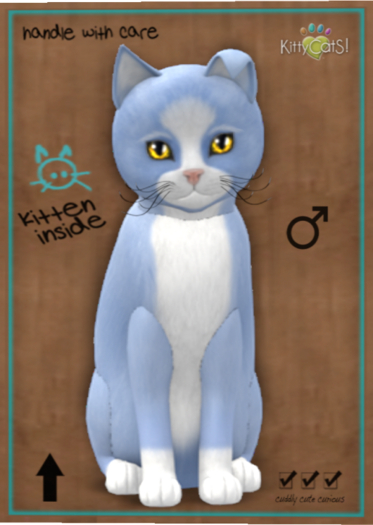 KittyCatS Box - Chateau Cat - Powder Puff No. 1