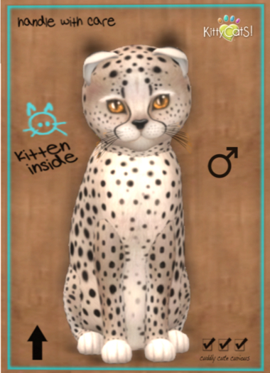 KittyCatS Box - Cheetah! - Washed Blue Mink