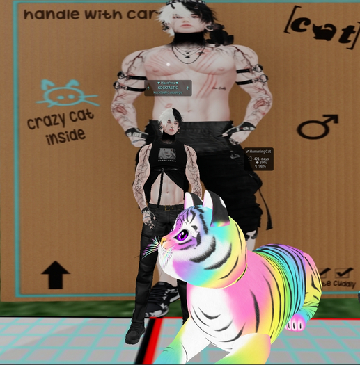 KittyCats - HummingCat - Not Breedable - FOREVER PET!!!