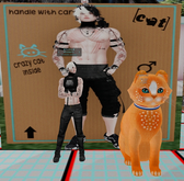 KittyCats - Abrikoosje - Not Breedable - FOREVER PET!!!