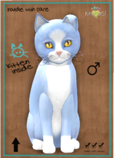 KittyCatS Box - Chateau Cat - Powder Puff No. 1