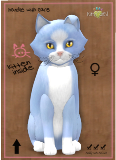 KittyCatS Box - Chateau Cat - Powder Puff No. 1