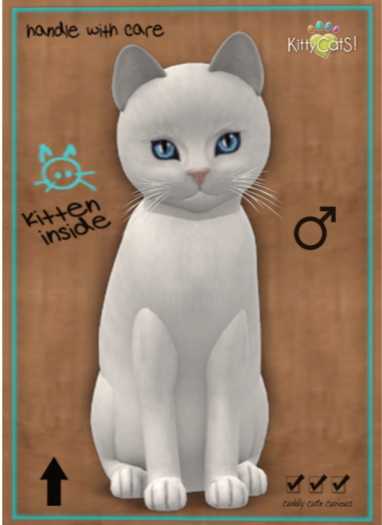 KittyCatS Box - Russian - White