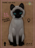 KittyCatS Box - DOS Confetti  - ♀ Female 