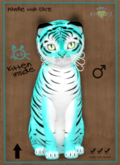 KittyCatS Box - 9T - Tiger! - Turquoise - Crystal Spring - ♂ Male