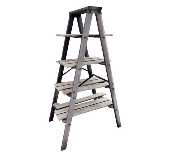 Second Spaces - Modern Farmhouse - ladder shelves RARE