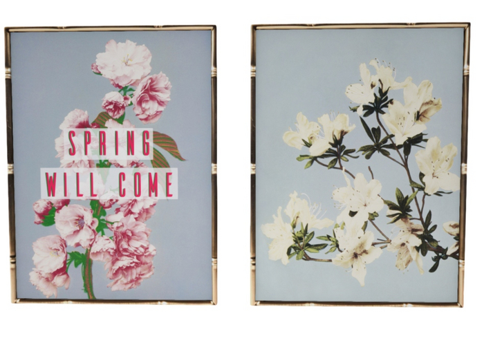 5 - ionic : Spring will come (frames)