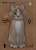 KittyCatS Box - Genesis - Mocha II - 3T +1 - Bigger de Big - Pewter - 2x DOS bLOOmS & biRDieS! - Affinity - ♀ Female