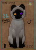 KittyCatS Box - 7T +1 - Teacup - Siamese - Seal - WONKY EYS Odyssey Fire & Rain - ♂ Male
