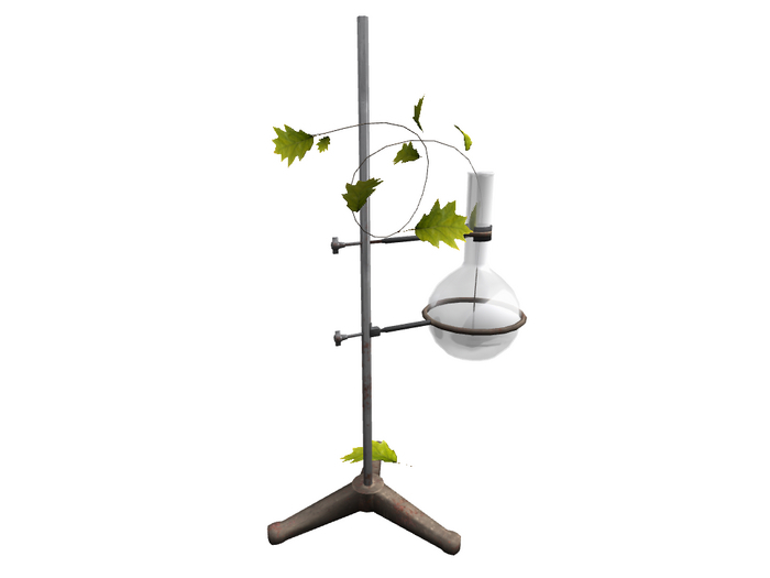 -ATTIC- Aesthetic Lab Leaf Florence