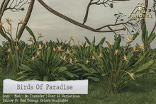 ( Fundati ) Birds Of Paradise Set -Yellow-