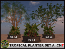 CANOPY - TROPICAL PLANTER SET A