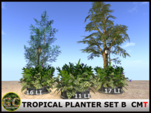 PARK - TROPICAL PLANTER SET B