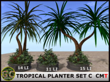 YUCCA - TROPICAL PLANTER SET C