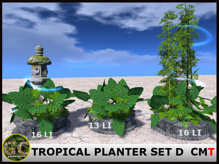 ZEN - TROPICAL PLANTER SET D