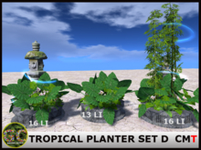 ZEN - TROPICAL PLANTER SET D
