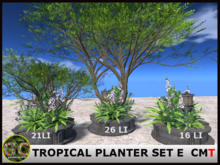 LANTERN - TROPICAL PLANTER SET E