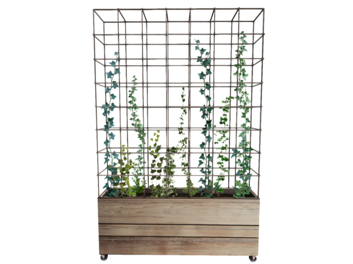 12 ionic : Ivy Divider