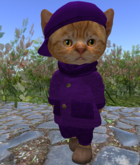 Dinkie Chunky Cardigan Grape