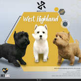 [Rezz Room] Box West Highland Dog  PETLIFE