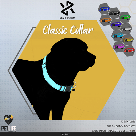 [Rezz Room] Box Labrador Retriever Classic Collar  