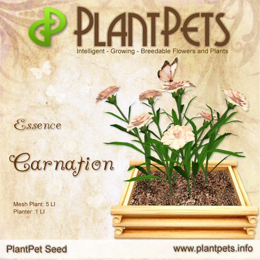 PlantPet Seed [Carnation *Essence*] RARE