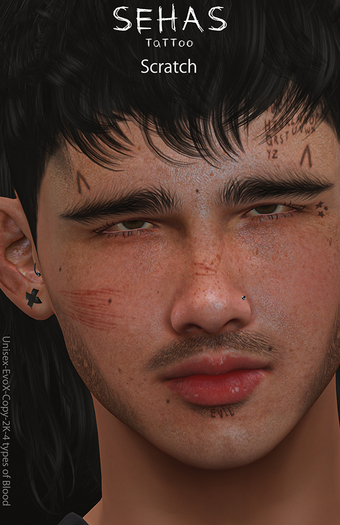 .::SEHAS::. TaTToo Scratch