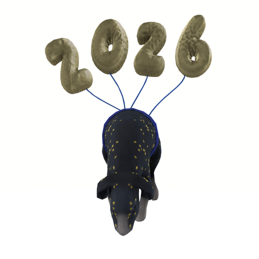 DFS GB#79 Rabbit Buck - Floating into 2026