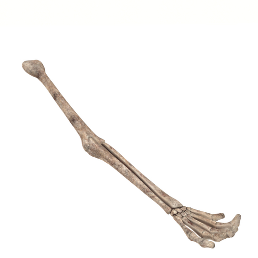 DFS GB#76 Trowel - Skeleton Hand