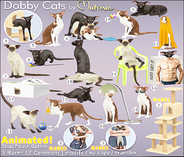 18-Mutresse-Dobby Cats